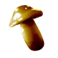 Mythic Mushroom