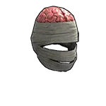 Wrapped Brain